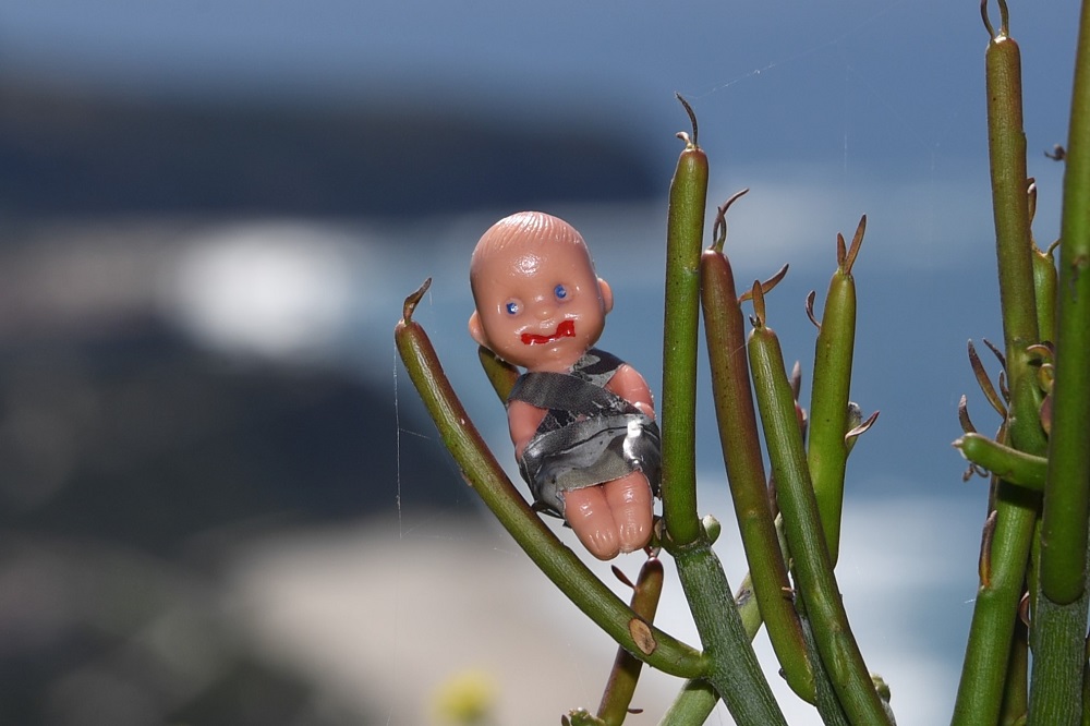 Brutus Baby at Badlands Park 23